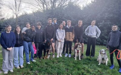 Quand la séance de sport prend des airs de grand prix… avec des chiens !