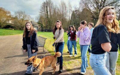 Éducation et comportement canin